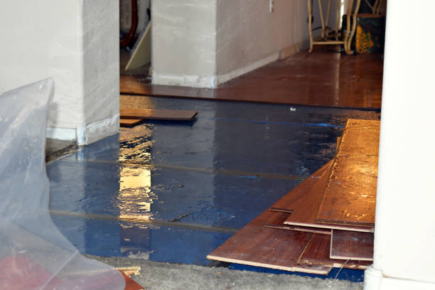 Professional Water Damage Restoration technician working in Britton, SD